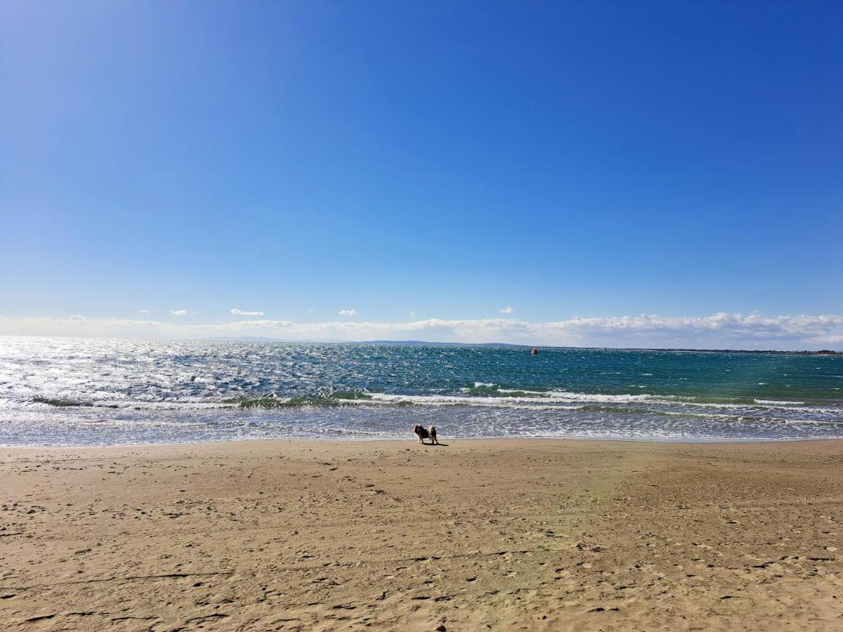 32M² Terrasse Plage Cap D'Agde 아파트 외부 사진
